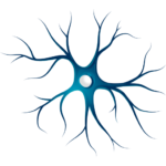 Dr. Fabiano de Abreu Agrela